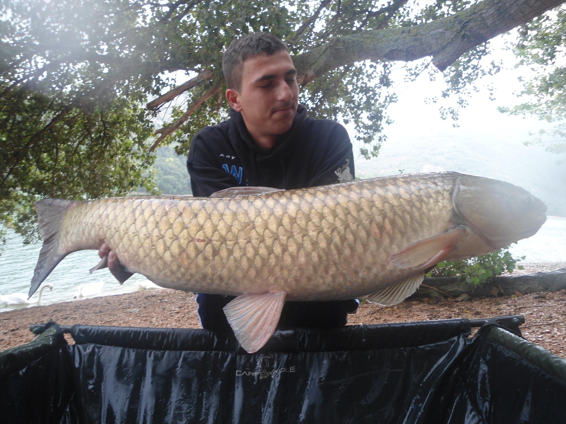 Ape libere cu Any Water - dsc04819.JPG